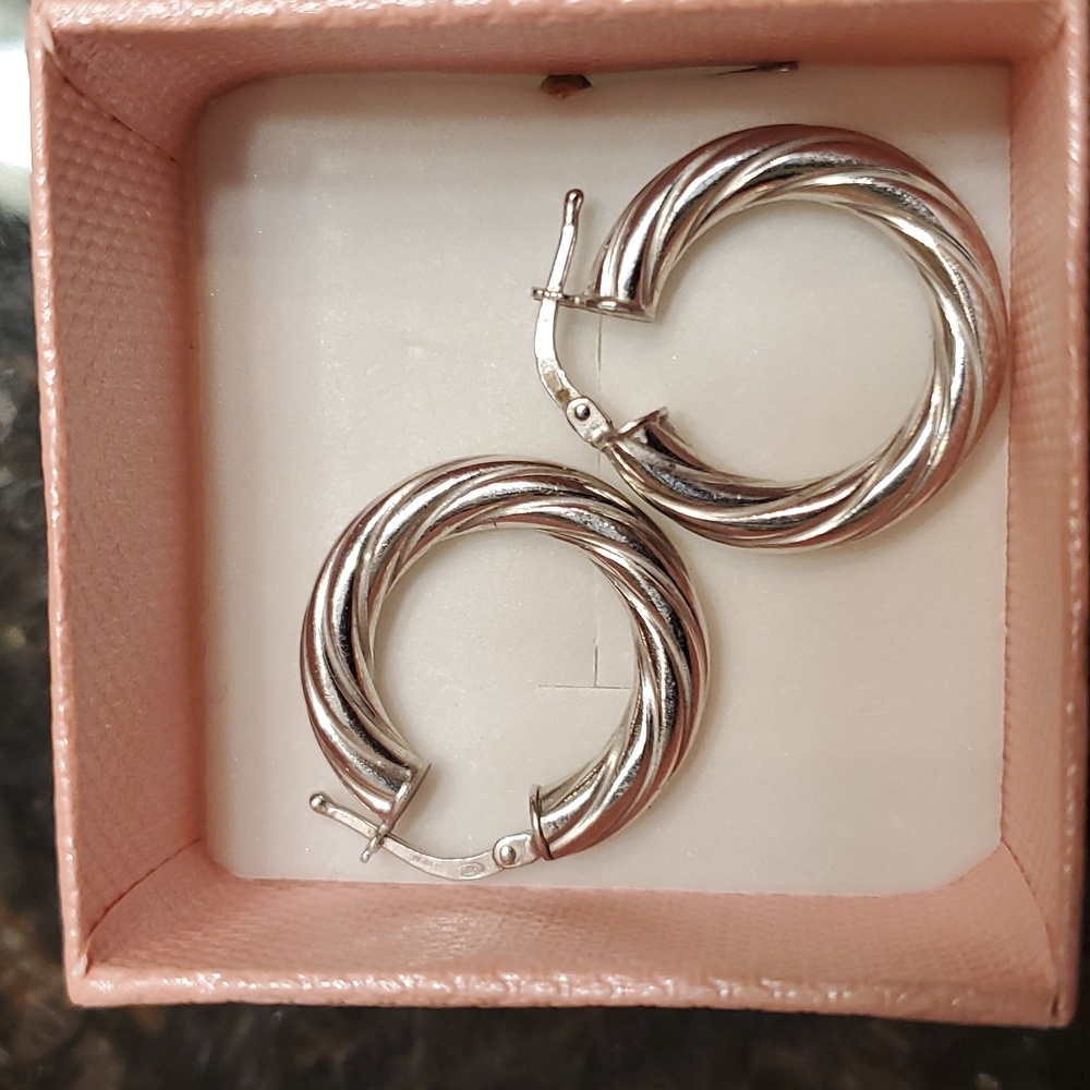 Elegant Silver Hoop Earrings